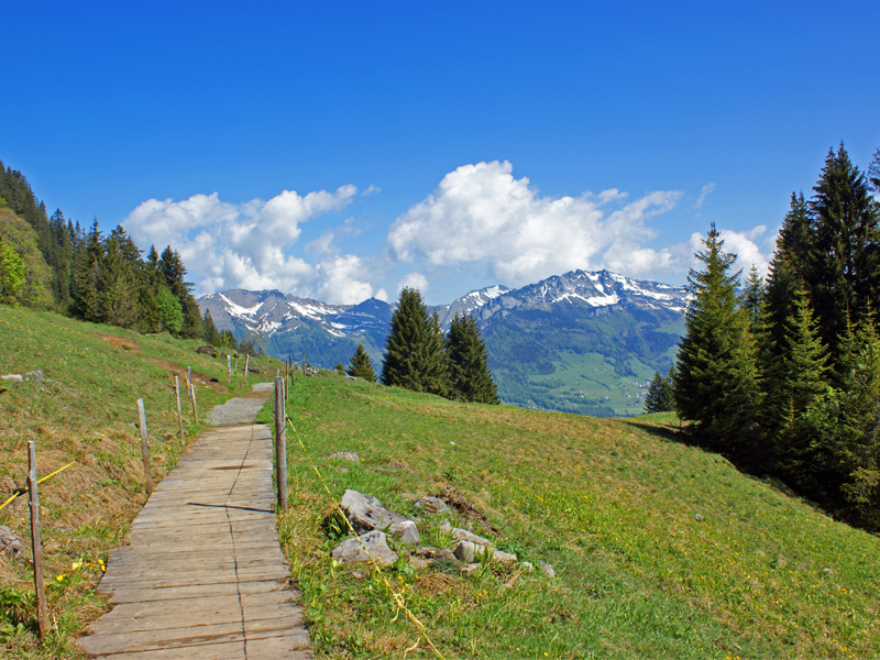 Schabziger Höhenweg - Seminarhotel Schweiz - Ferien, Seminare, Hotel und Hochzeiten in Filzbach, Glarus, Schweiz im Glarnerland