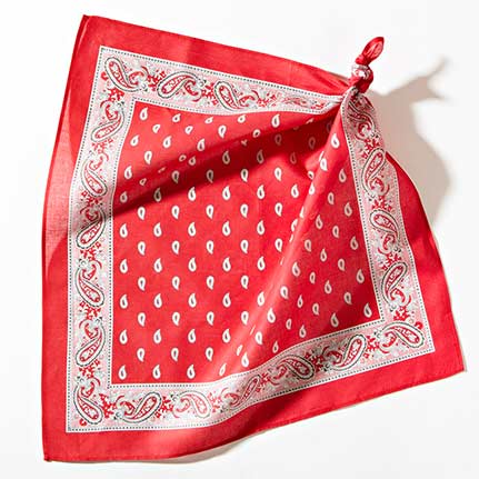 Industriespionage - Seminarhotel Schweiz - Ferien, Seminare, Hotel und Hochzeiten in Filzbach, Glarus, Schweiz im Glarnerland