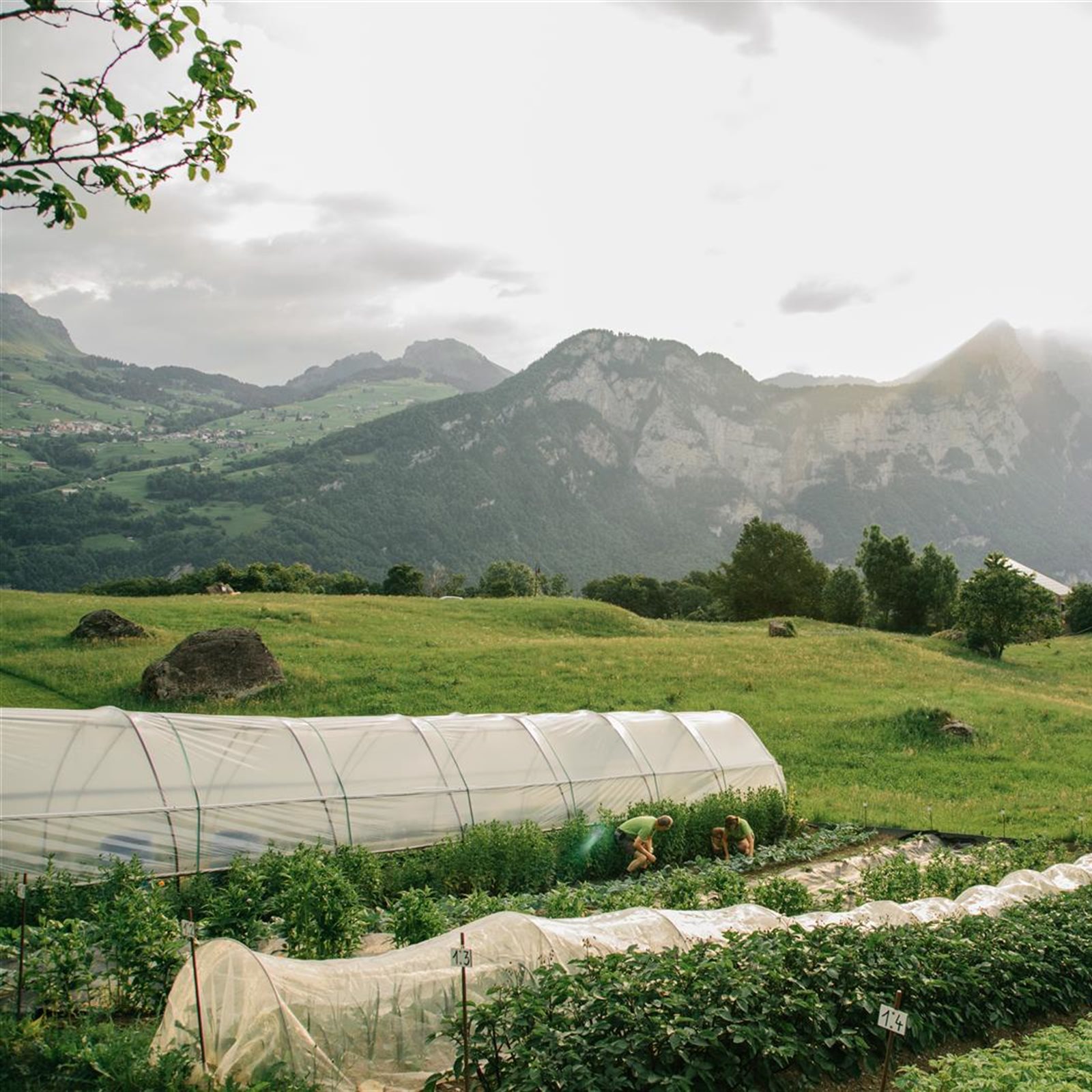 Nachhaltigkeit - Seminarhotel Schweiz - Ferien, Seminare, Hotel und Hochzeiten in Filzbach, Glarus, Schweiz im Glarnerland