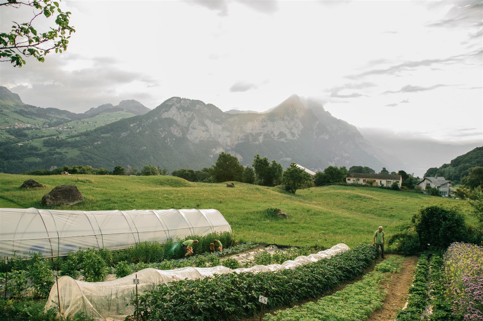 Nachhaltigkeit - Seminarhotel Schweiz - Ferien, Seminare, Hotel und Hochzeiten in Filzbach, Glarus, Schweiz im Glarnerland