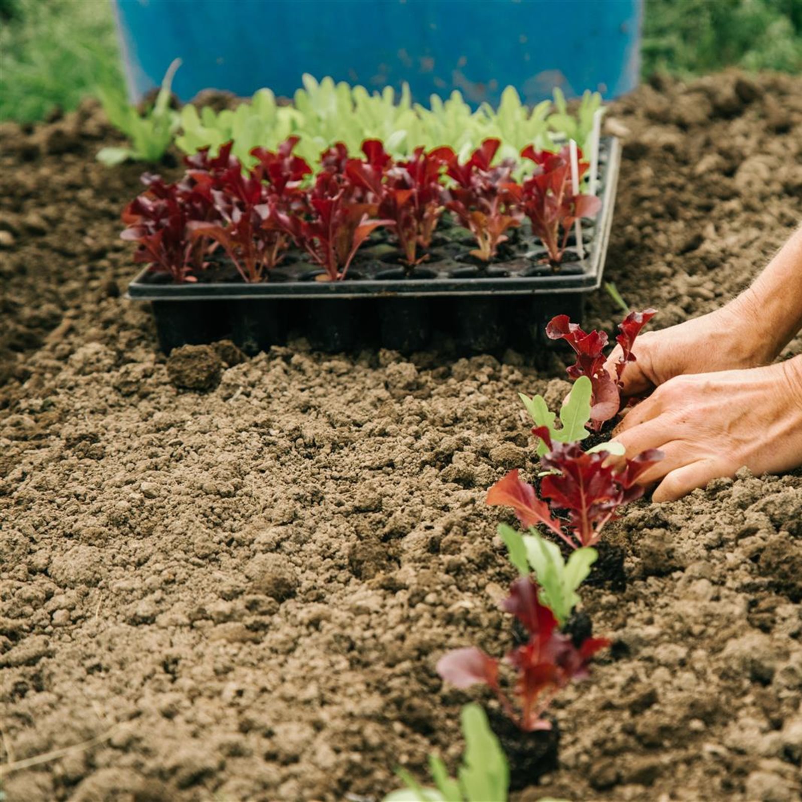Nachhaltigkeit - Seminarhotel Schweiz - Ferien, Seminare, Hotel und Hochzeiten in Filzbach, Glarus, Schweiz im Glarnerland