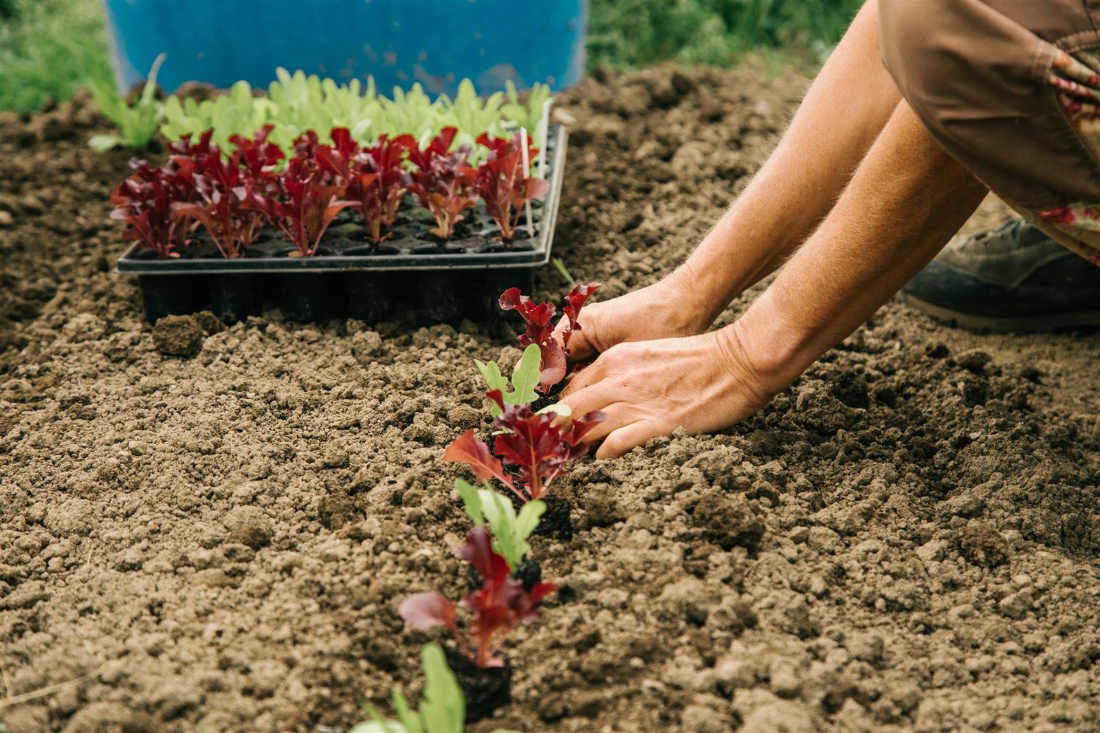 Nachhaltigkeit - Seminarhotel Schweiz - Ferien, Seminare, Hotel und Hochzeiten in Filzbach, Glarus, Schweiz im Glarnerland